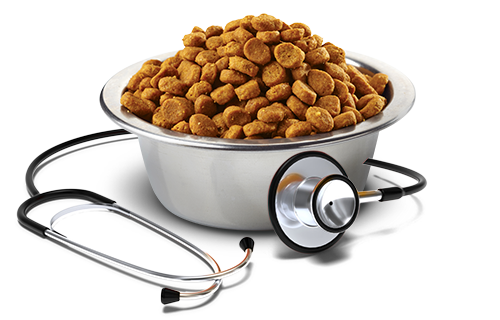Alimento dietetico Farmina Vet Life Intestinal UltraCare Low Fat 10 kg per cani adulti con disturbi digestivi Alimento dietetico Farmina Vet Life Intestinal UltraCare Low Fat 10 kg per cani adulti con disturbi digestivi